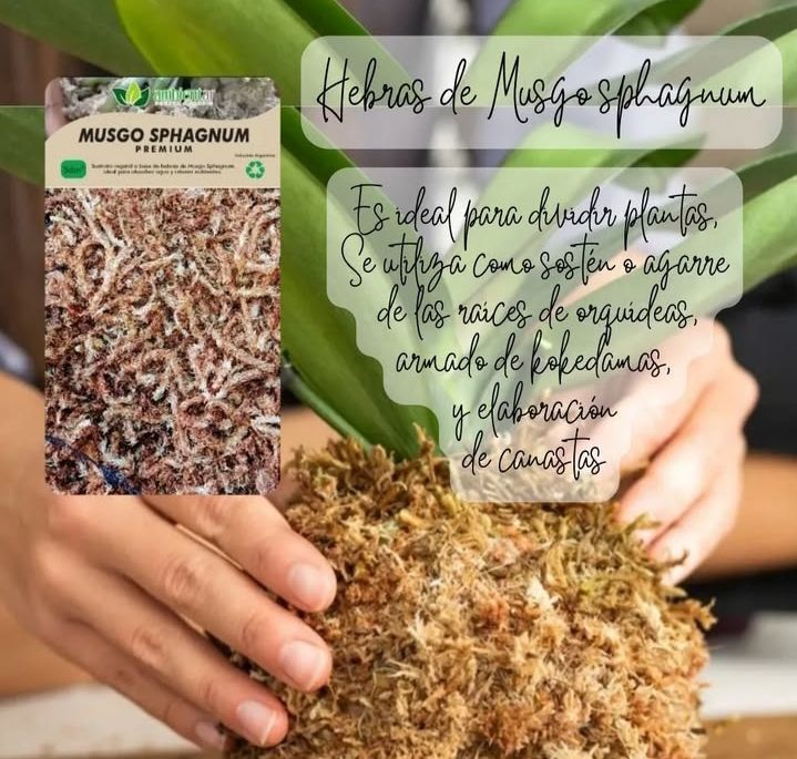 Sustrato Musgo sphagnum