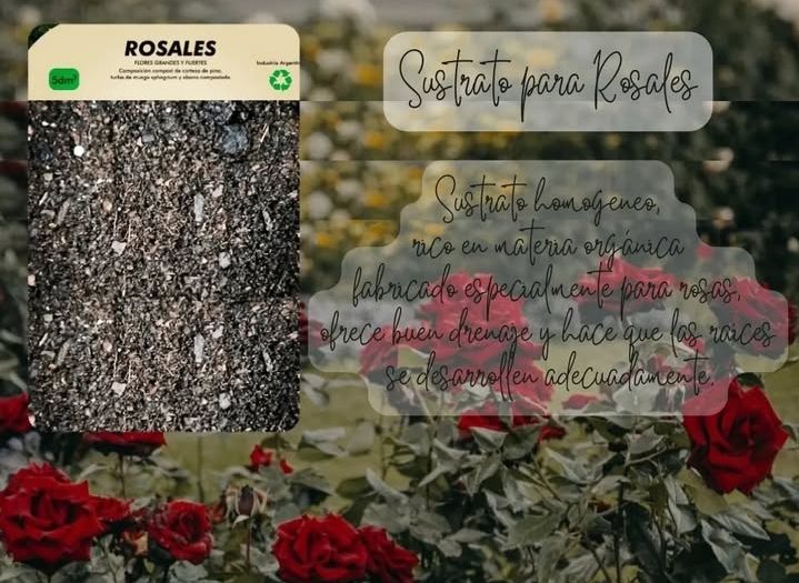 Sustrato para rosales