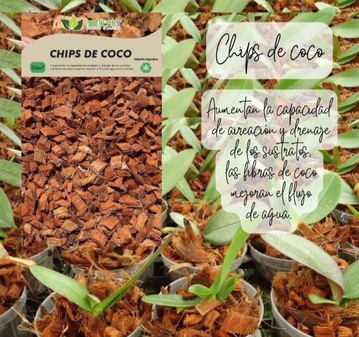 Sustrato Chips de coco