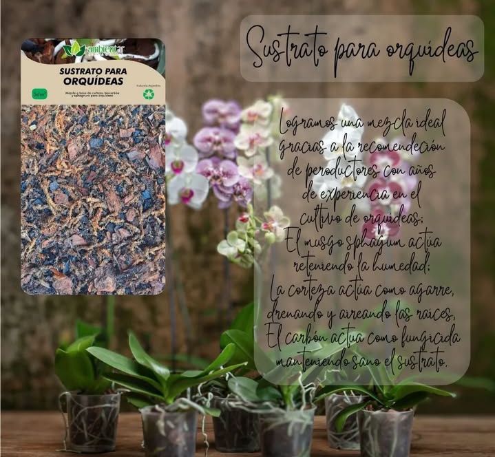 Sustrato para orquídeas