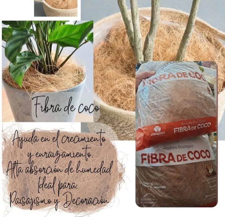 Sustrato fibra de coco