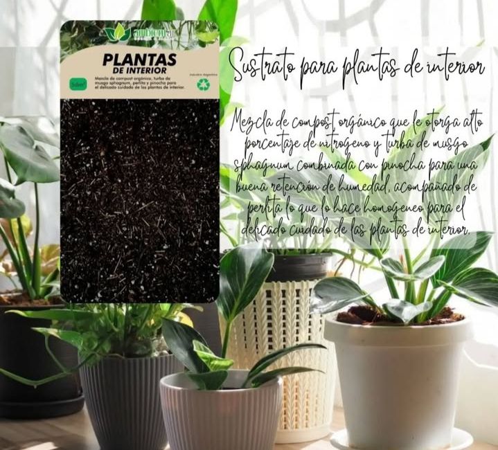 Sustrato para plantas de interior