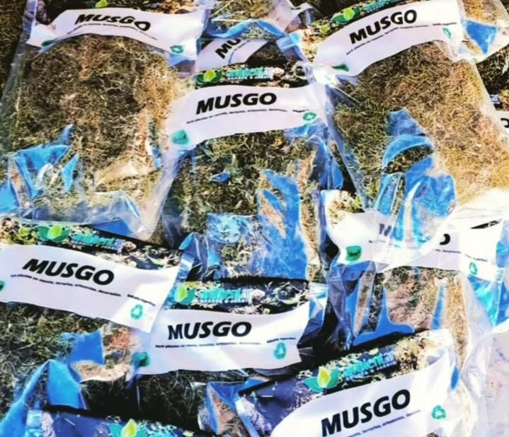 Sustrato Musgo