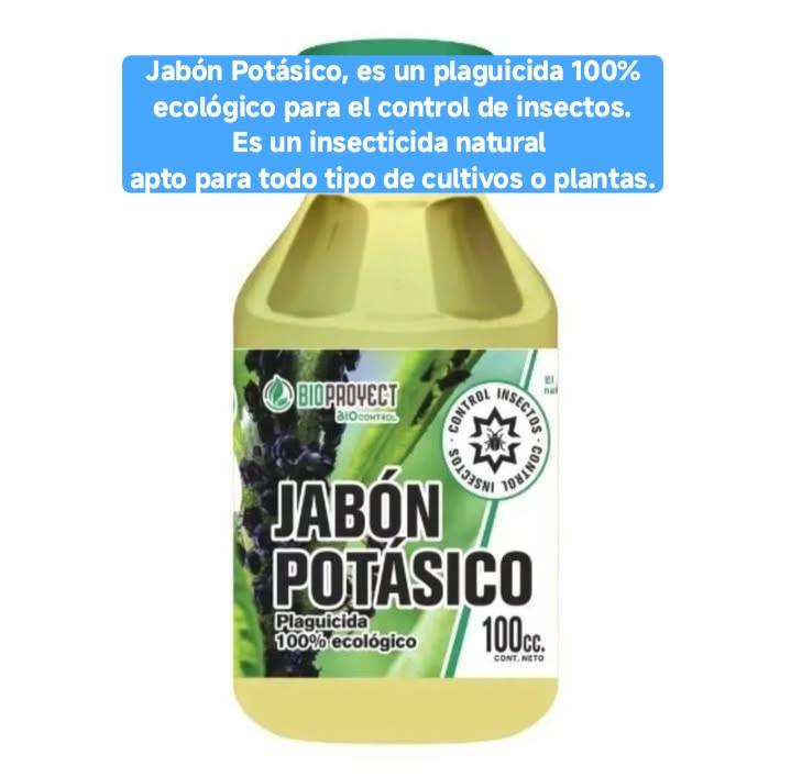 Jabón Potásico