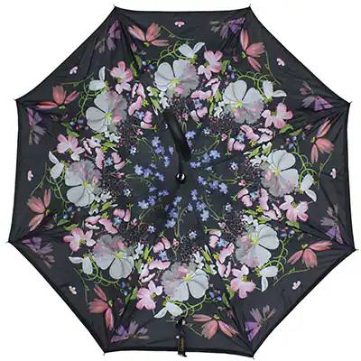 Paragua Invertido — foto 1