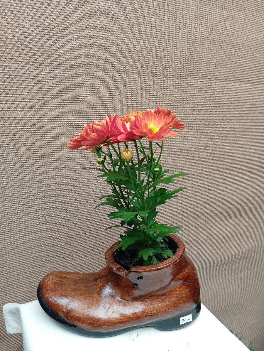 Zapato adorno de jardín — foto 2