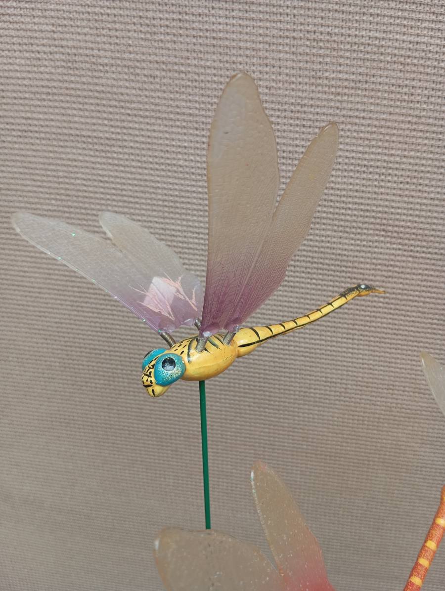 Tutor Libélula — foto 2