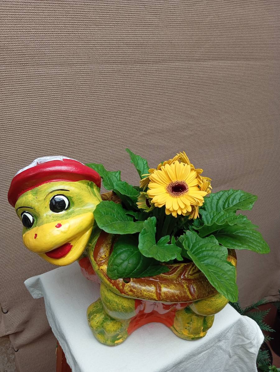 Tortuga grande adorno de jardín — foto 1