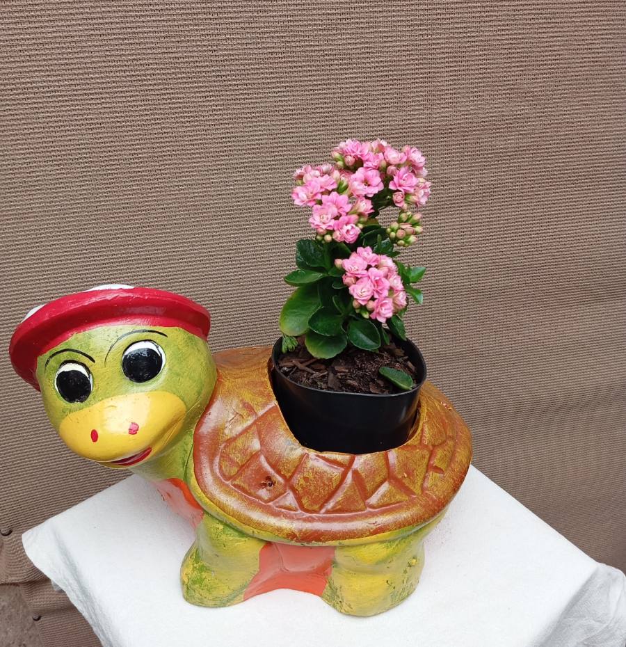 Tortuga chica adorno de jardín — foto 2